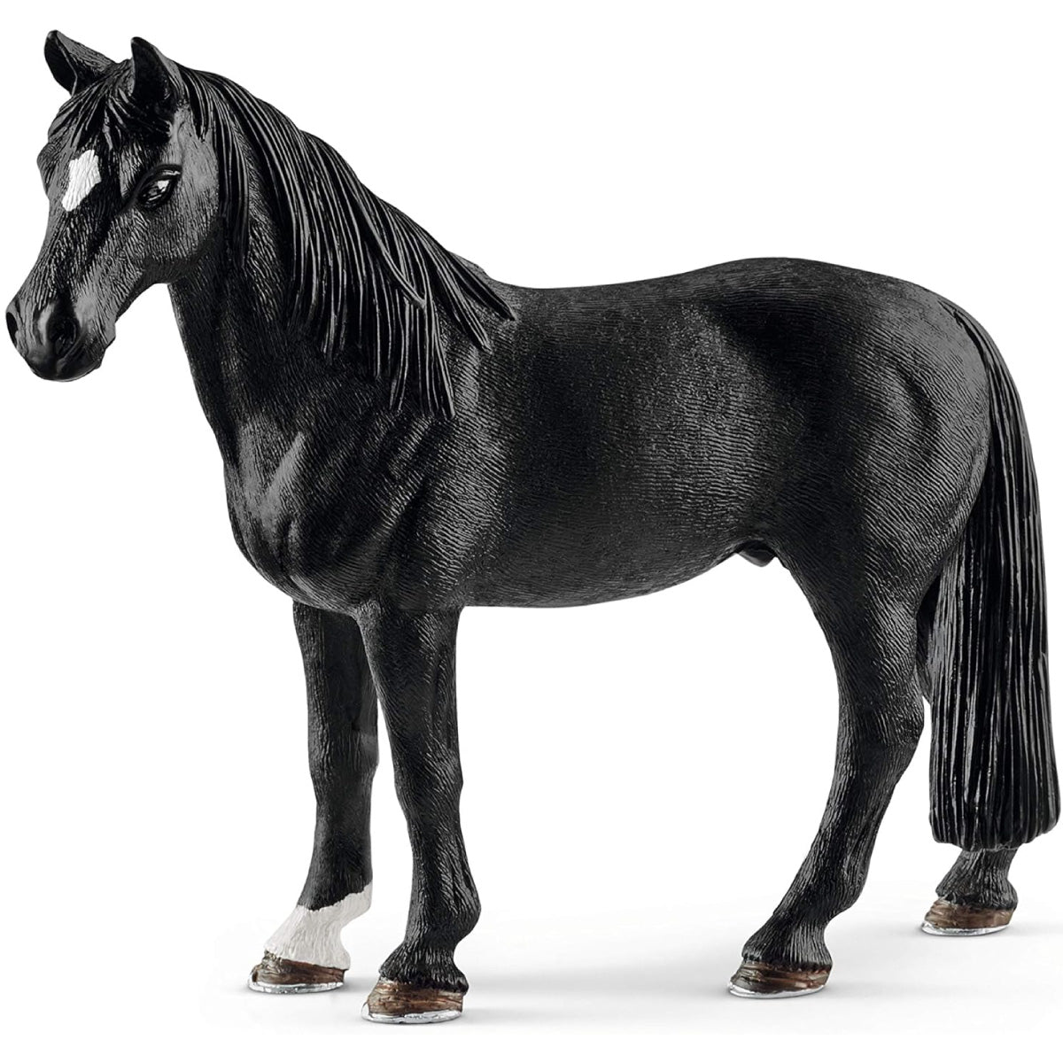 castrone tennessee walker