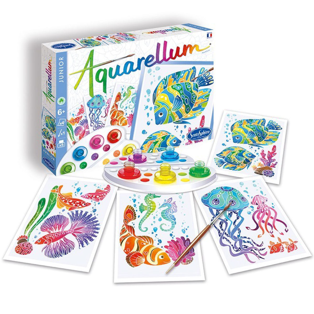 aquarellum junior - acquario
