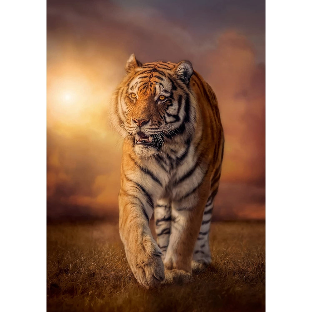 tiger - puzzle 1500 pezzi high quality collection