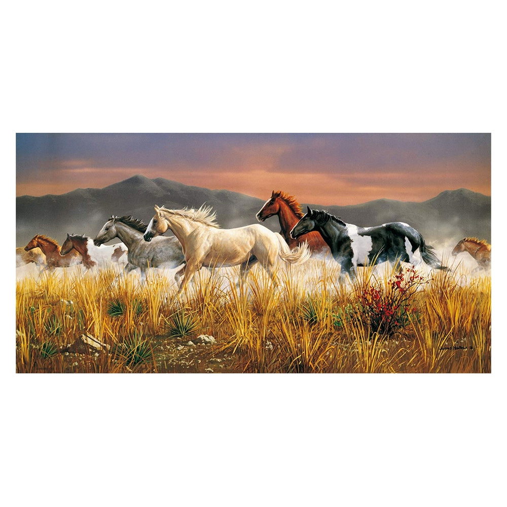 band of thunder - puzzle 13200 pezzi high quality collection