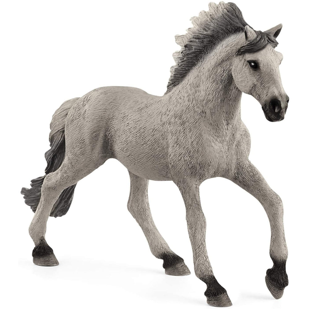 stallone sorraia mustang