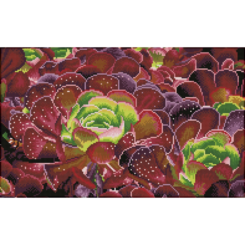 succulents - diamond dotz squares dq9.008 52x32cm