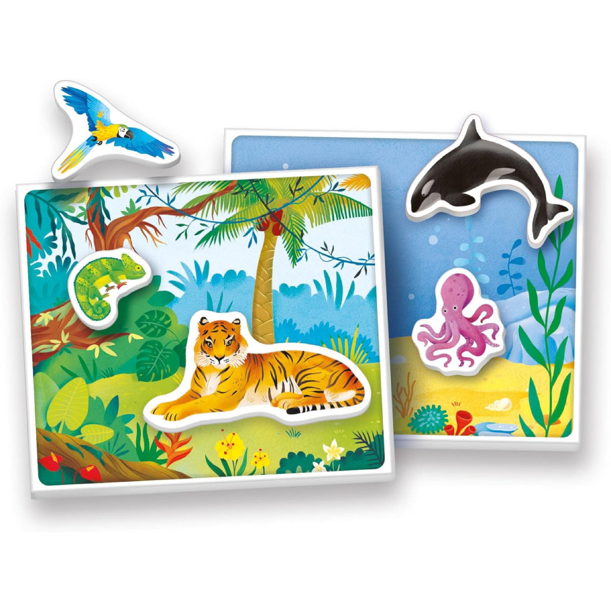 gli animali - montessori sapientino