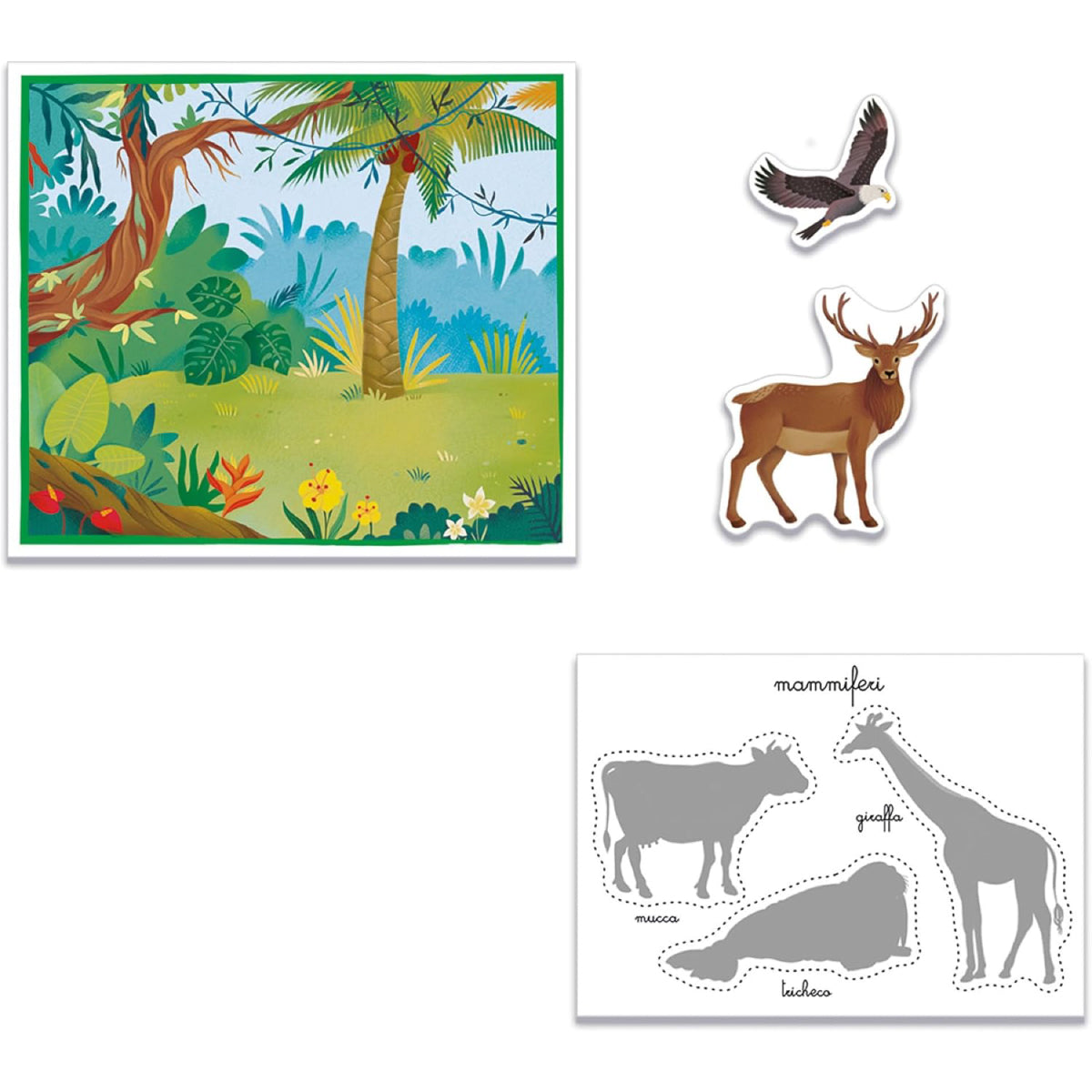 gli animali - montessori sapientino