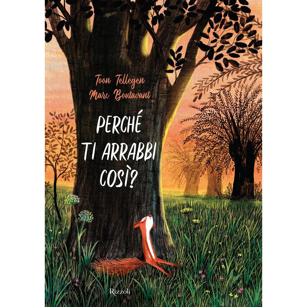 perché ti arrabbi così? ediz. a colori