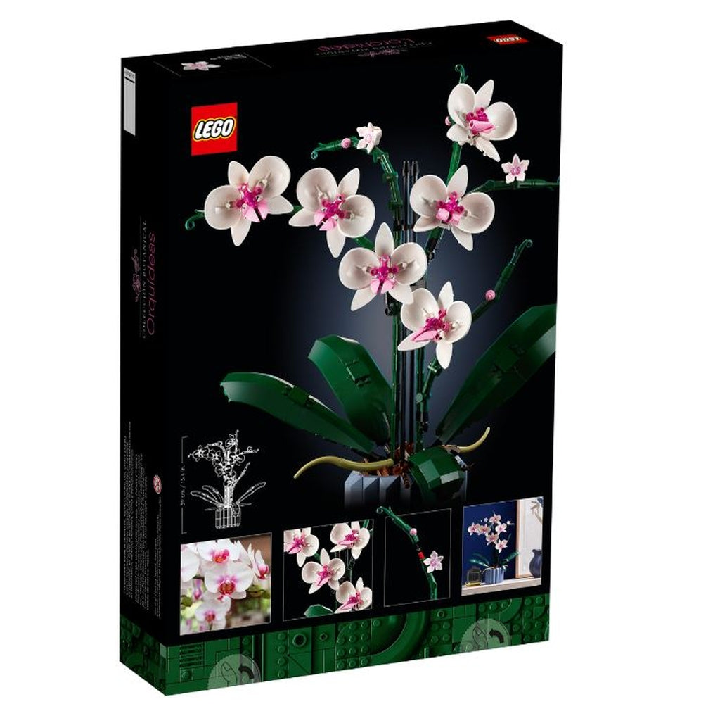 Botanicals 10311 orchidea pianta d'arredo con fiori
