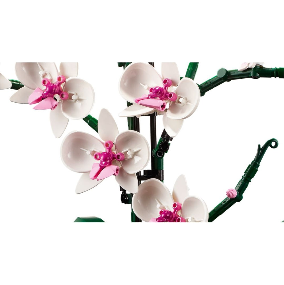Botanicals 10311 orchidea pianta d'arredo con fiori