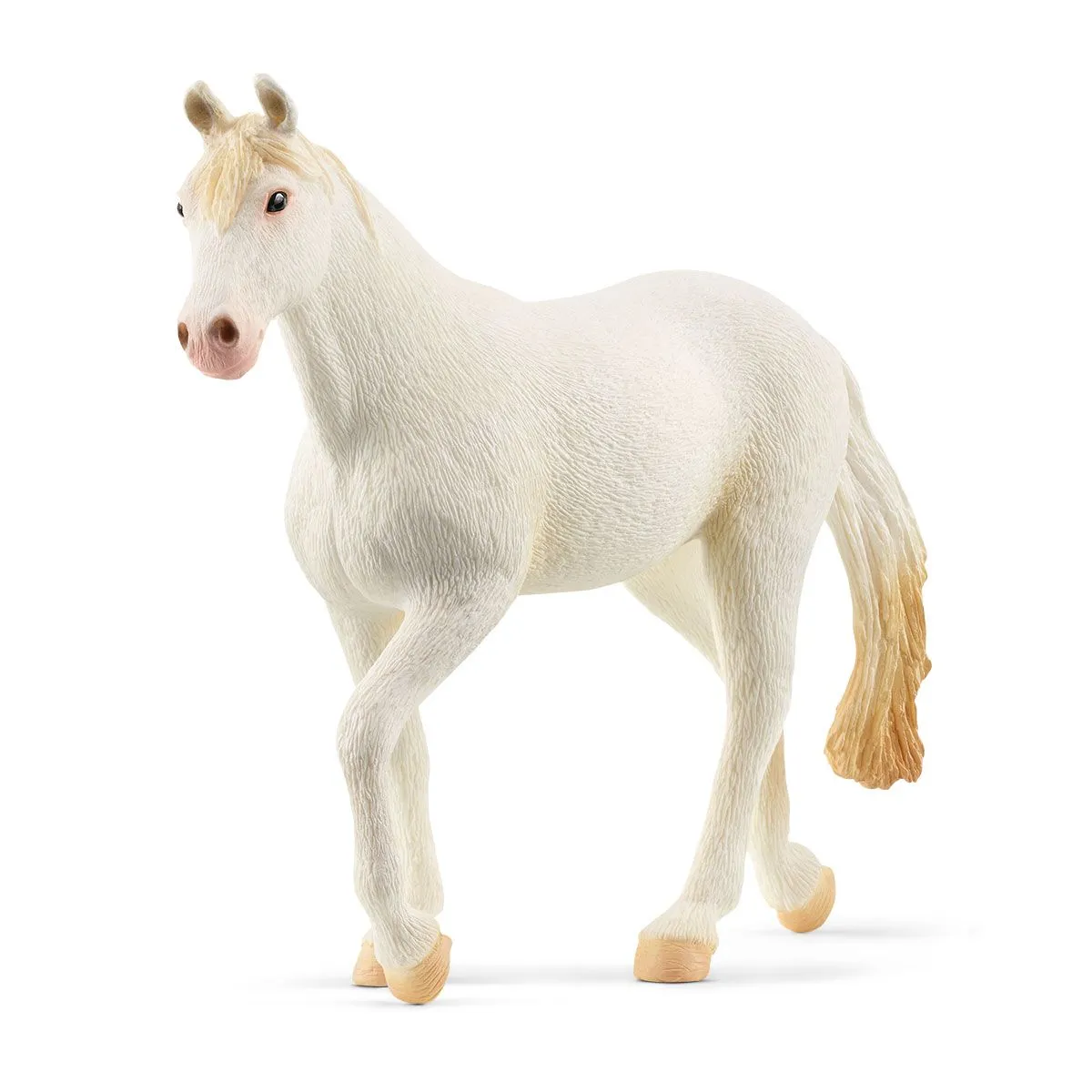 giumenta camarillo