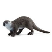 lontra