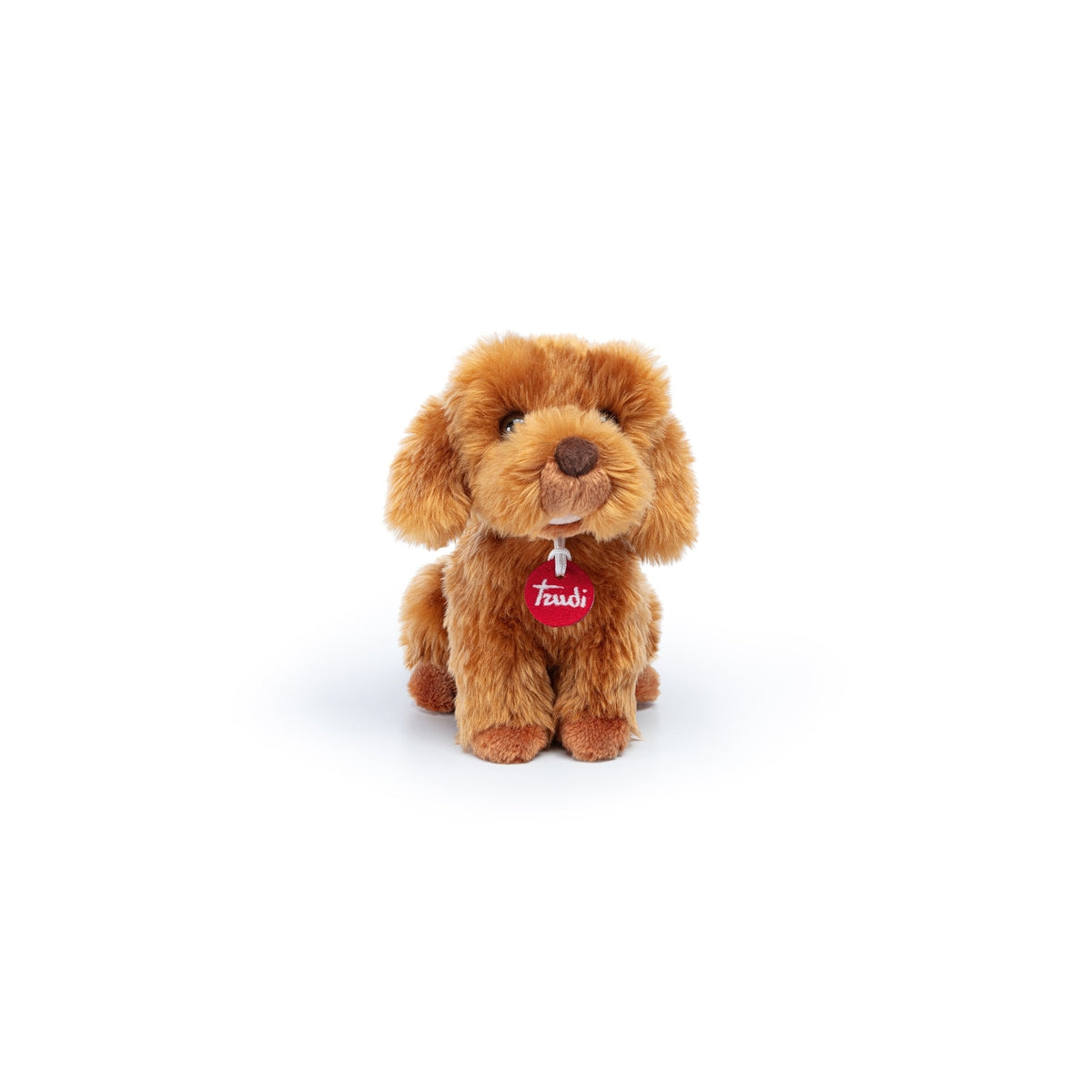 barboncino toy oliver seduto