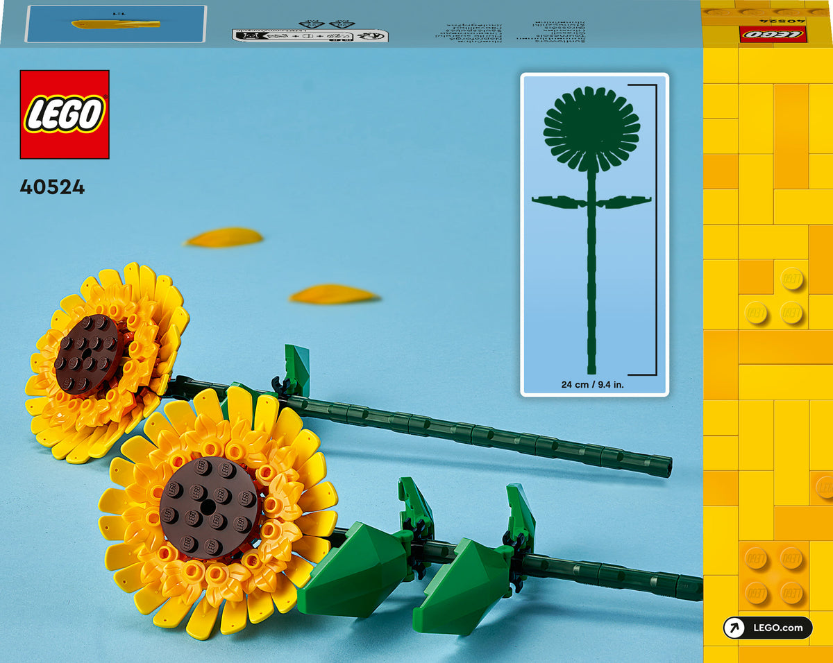 40524 - girasoli