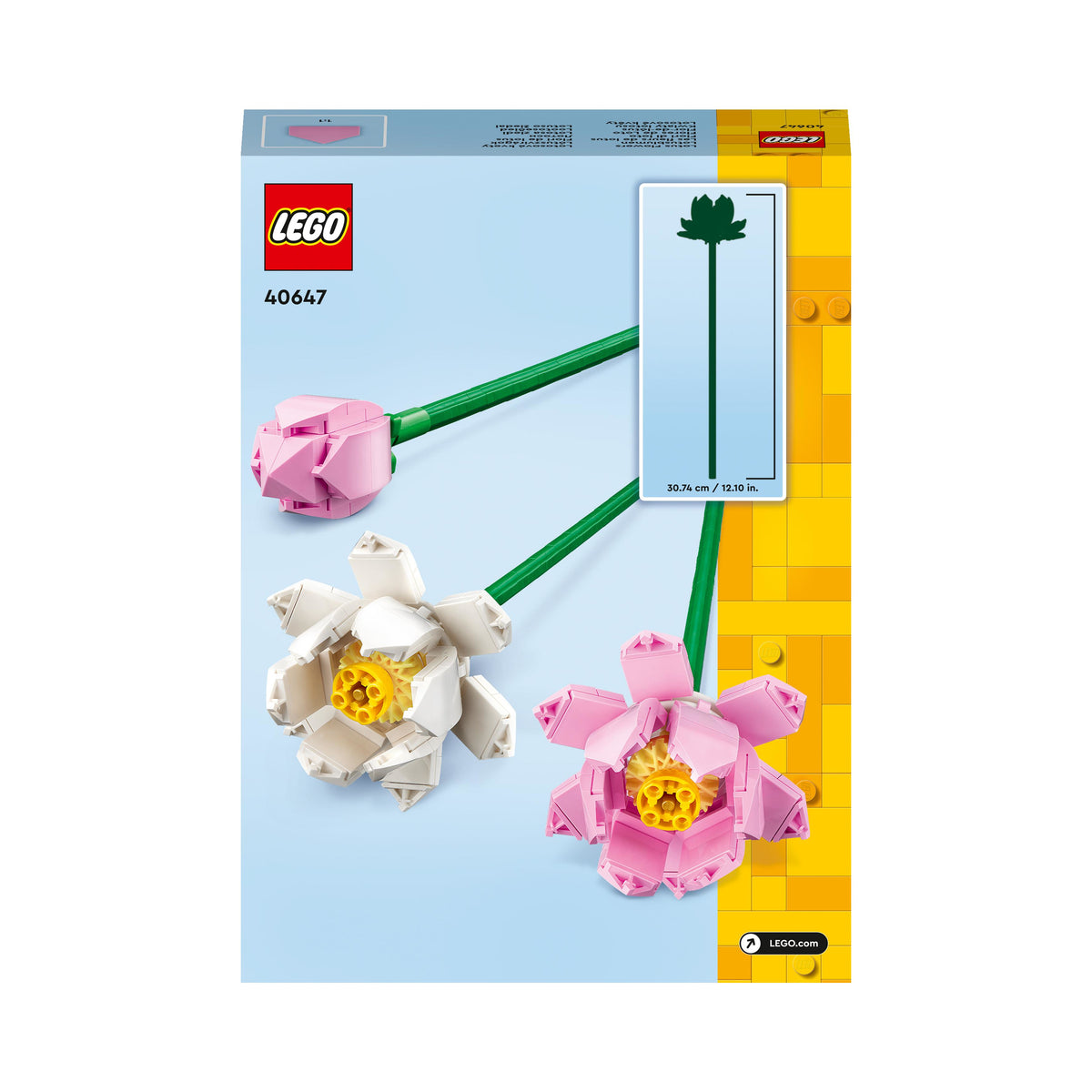 40647 - fiori di loto