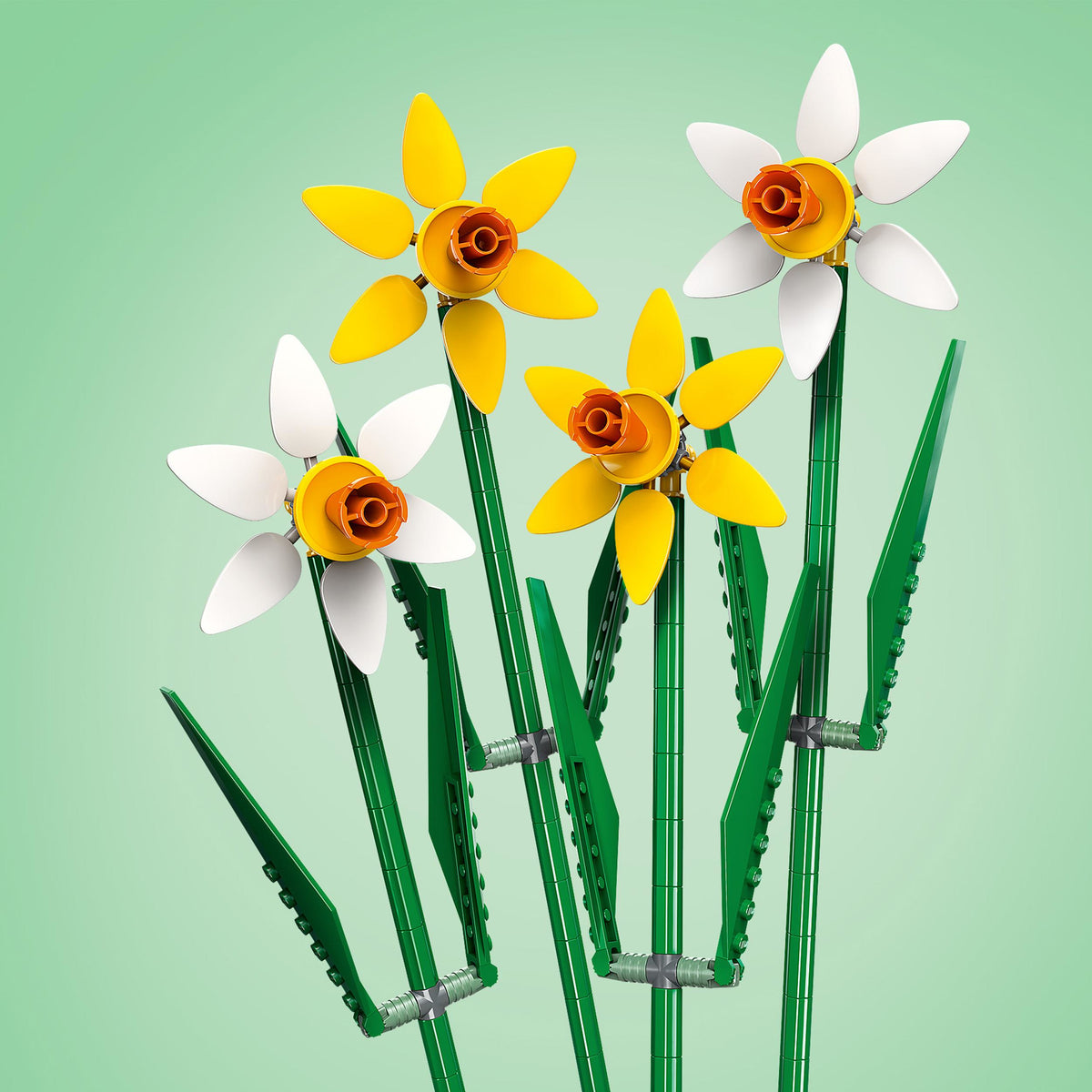Botanicals 40747 narcisi