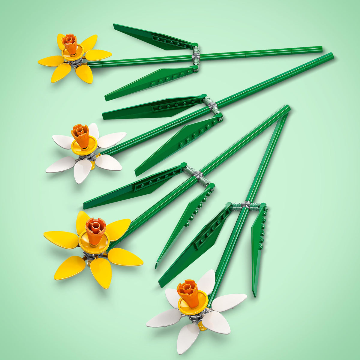 Botanicals 40747 narcisi