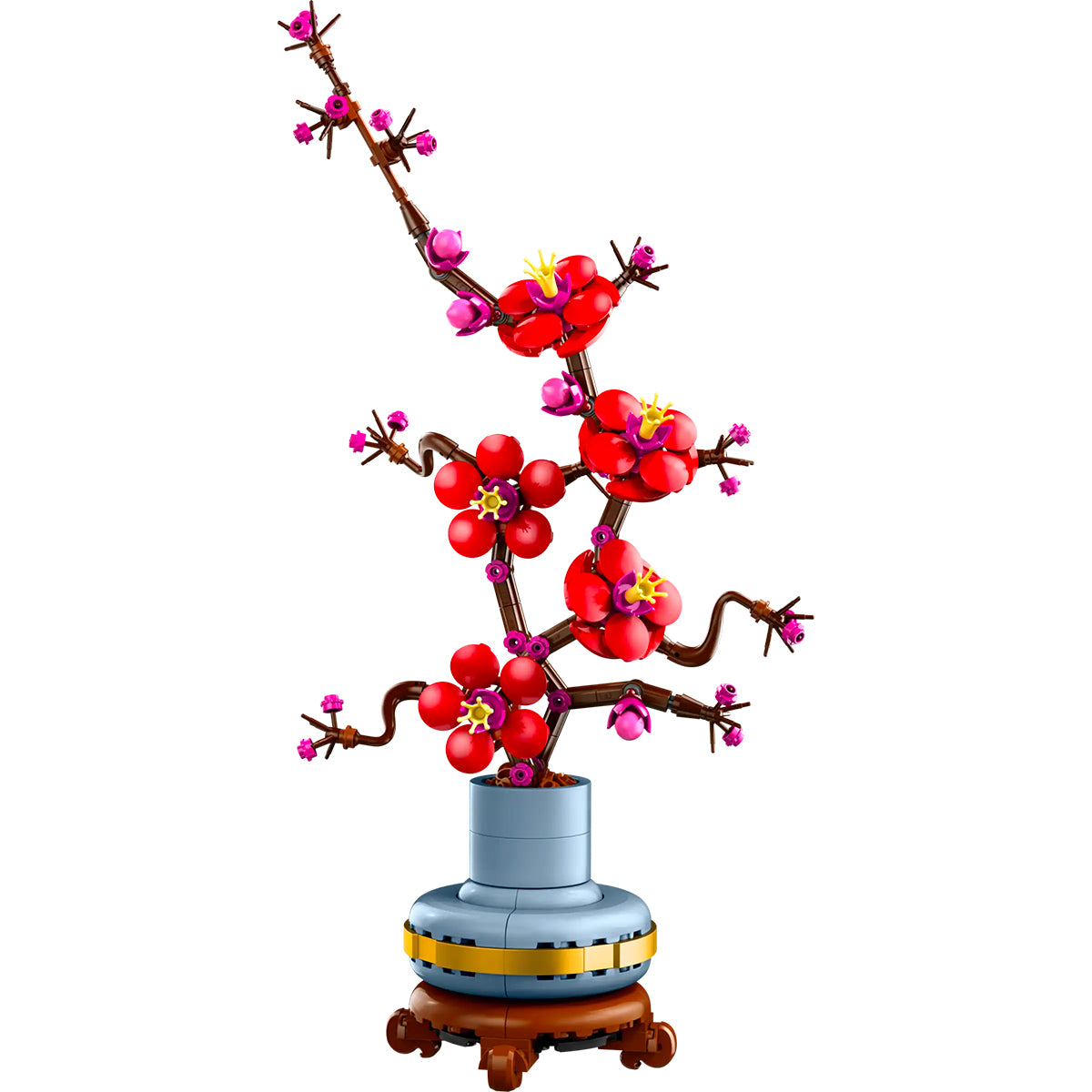 Botanicals 10369 albicocco giapponese