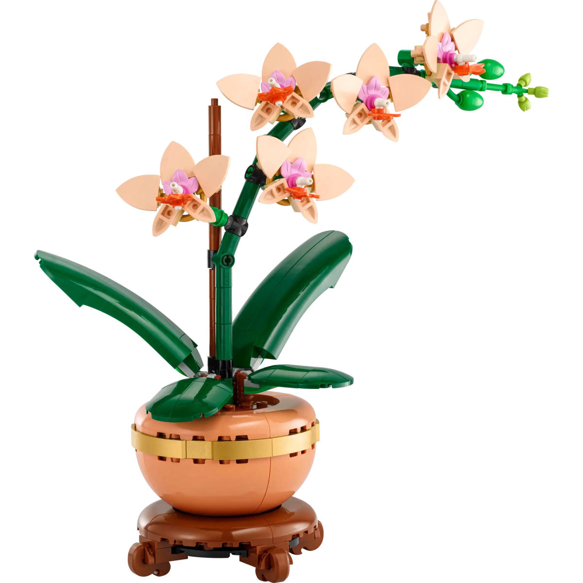 Botanicals 10343 mini-orchidea