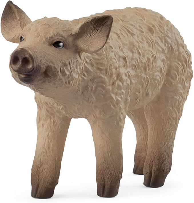 maialino mangalica
