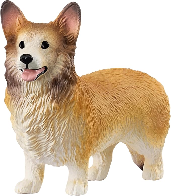 corgi gallese