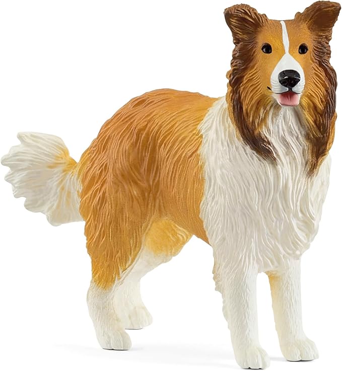 collie