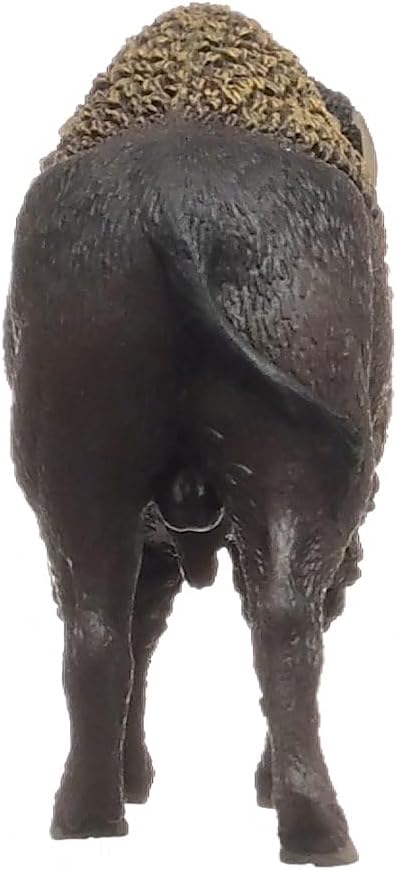 bisonte