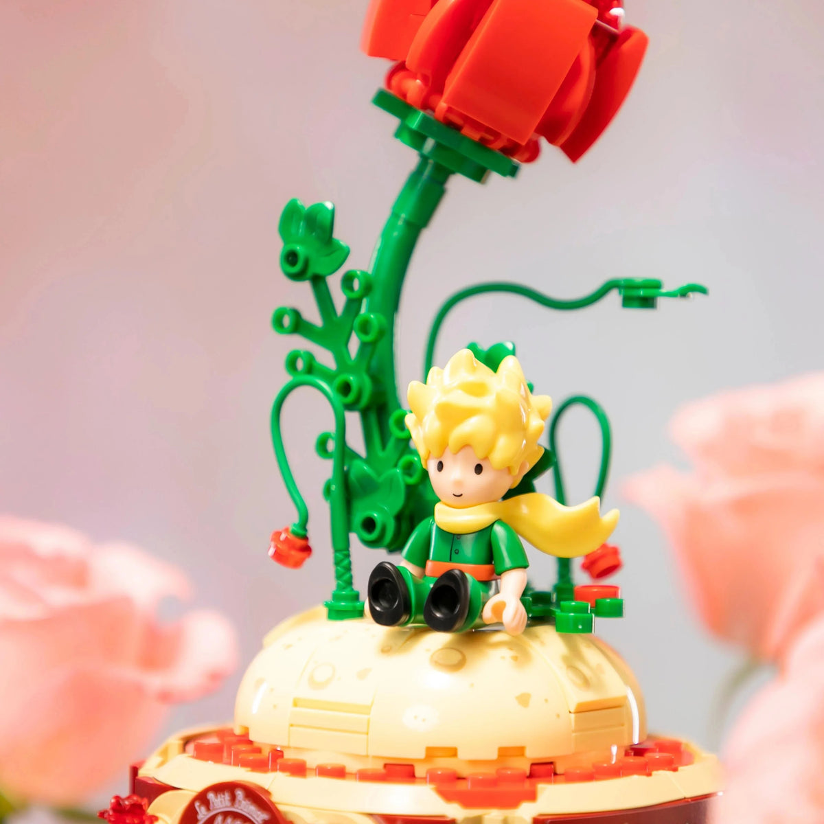 il piccolo principe - l'unica rosa