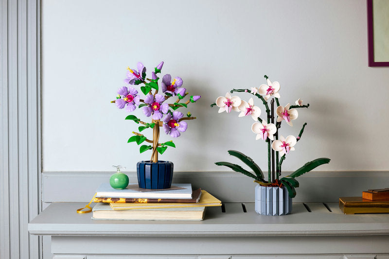 Botanicals 10372 ibisco