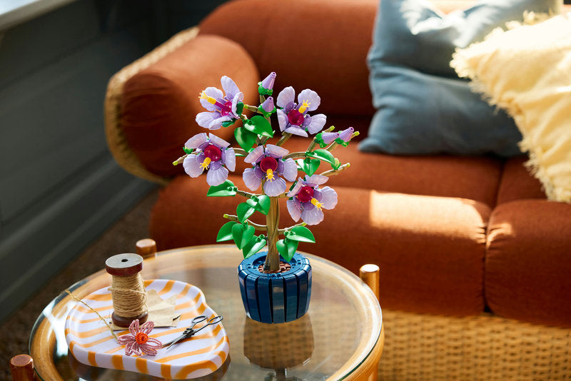 Botanicals 10372 ibisco