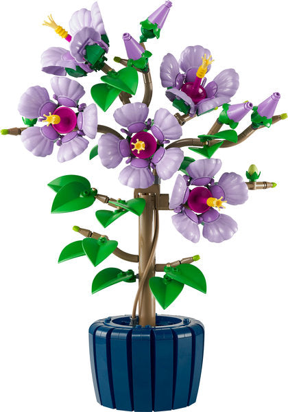 Botanicals 10372 ibisco