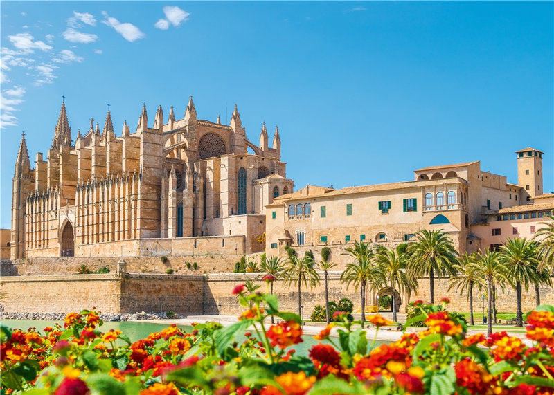 palma di maiorca - puzzle 1000 pezzi