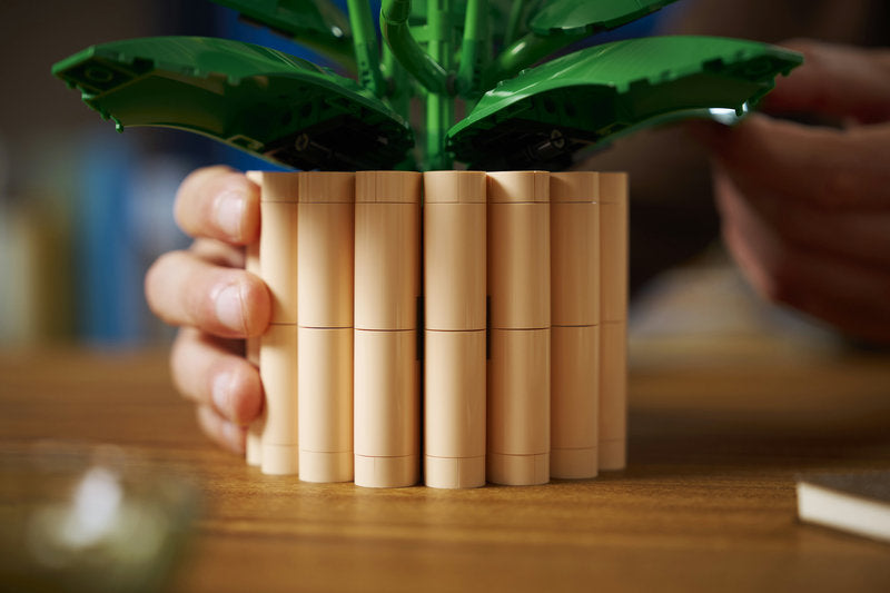 Botanicals 11504 spatifillo