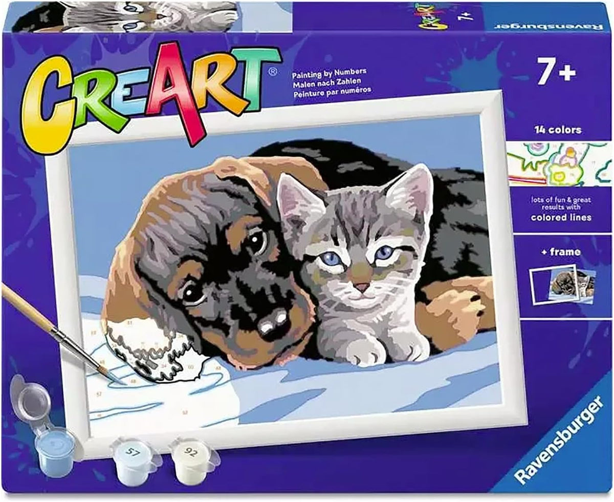 creart - serie d - amicizia speciale