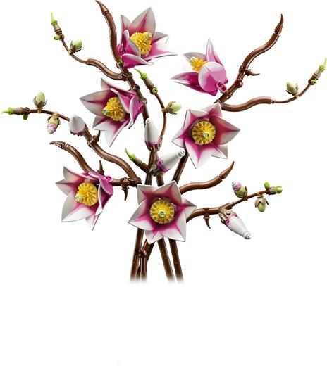 11510 - rametti di magnolia