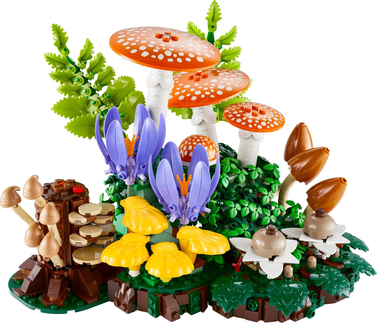 Botanicals 11505 funghi del bosco