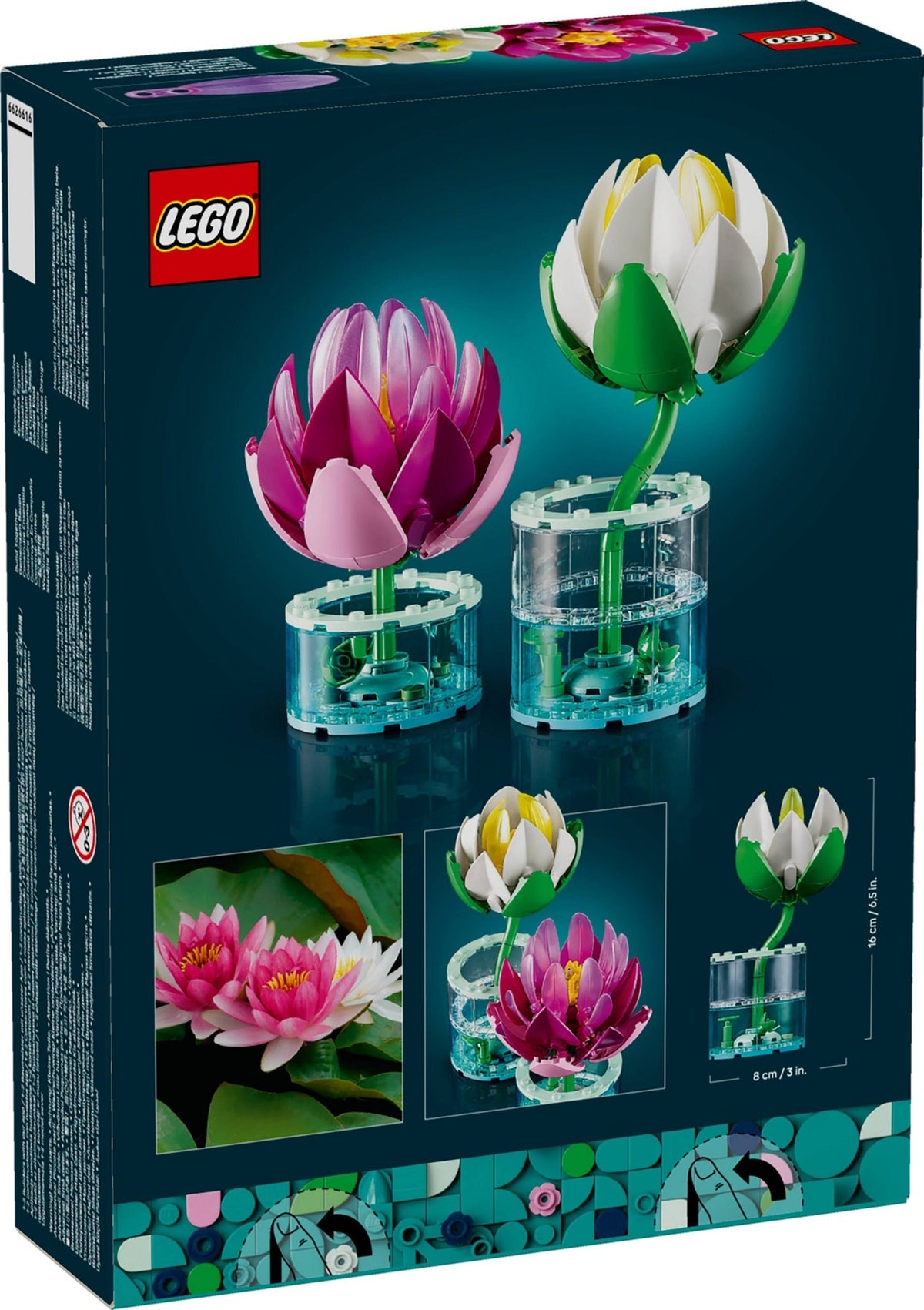 Botanicals 11511 ninfee