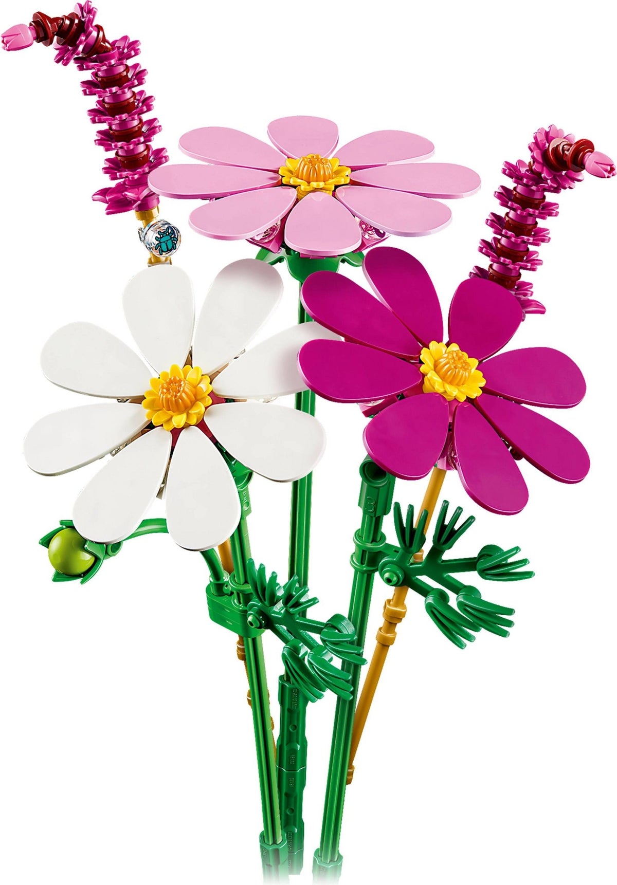 11514 fiori di cosmos
