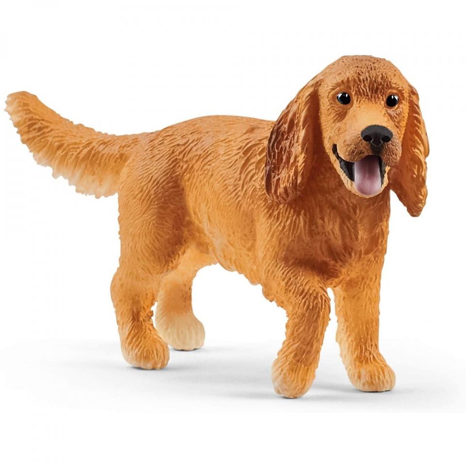 cocker spaniel inglese
